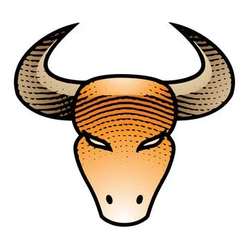 Scratchboard Engraved Bull Front View with Colorful Fill Stock Illustration
