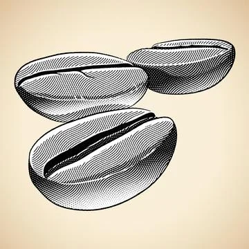 Scratchboard Engraved Coffee Beans with White Fill Stock Illustration