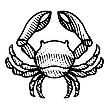 Scratchboard Engraved Crab Stock Illustration