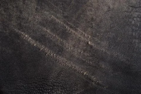Scratched leather Foto stock