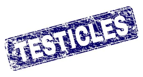 Scratched TESTICLES Framed Rounded Rectangle Stamp 스톡 일러스트