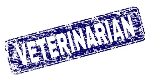 Scratched VETERINARIAN Framed Rounded Rectangle Stamp 스톡 일러스트