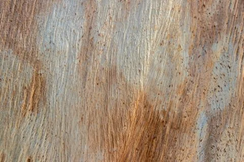 Scratched wood surface texture Stock Photos