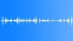 Scratching Bark LightSound Effect