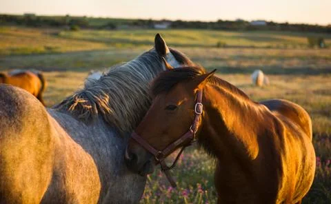 Scratching time Stock Photos