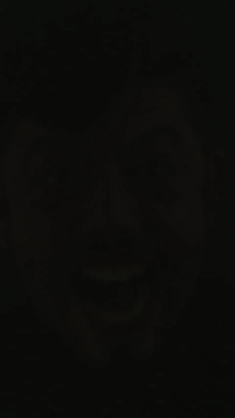 Scream, face and man with flashes for fear, horror and crazy expression Vídeos de archivo 335743959