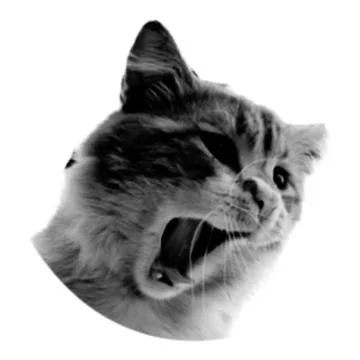 Screaming cat collage. Design element in trendy dotted pop art style. Retro h Stock-Illustration