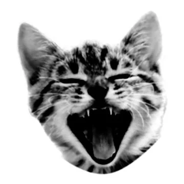 Screaming cat collage. Design element in trendy dotted pop art style. Retro.. Illustrazione stock