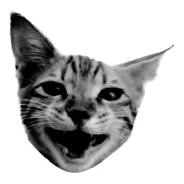 Screaming cat collage. Design element in trendy dotted pop art style. Retro h イラスト素材