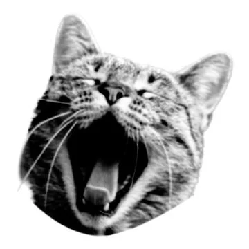 Screaming cat collage. Design element in trendy dotted pop art style. Retro h 스톡 일러스트