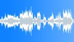Screaming crazy children playing loopSound Effect