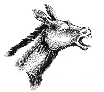Screaming donkey Stock Illustration