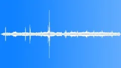 Screaming Piha DistantSound Effect