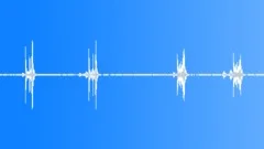 Screaming Piha (Lipaugus vociferans) Sound Effect