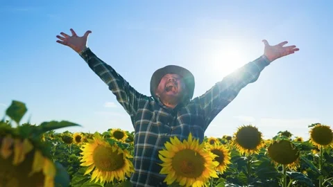 Screaming Satisfied successful elderly farmer raising hands in victorious pose Stock Footage 202245851