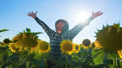 Screaming Satisfied successful elderly farmer raising hands in victorious pose Stock Footage 301235276