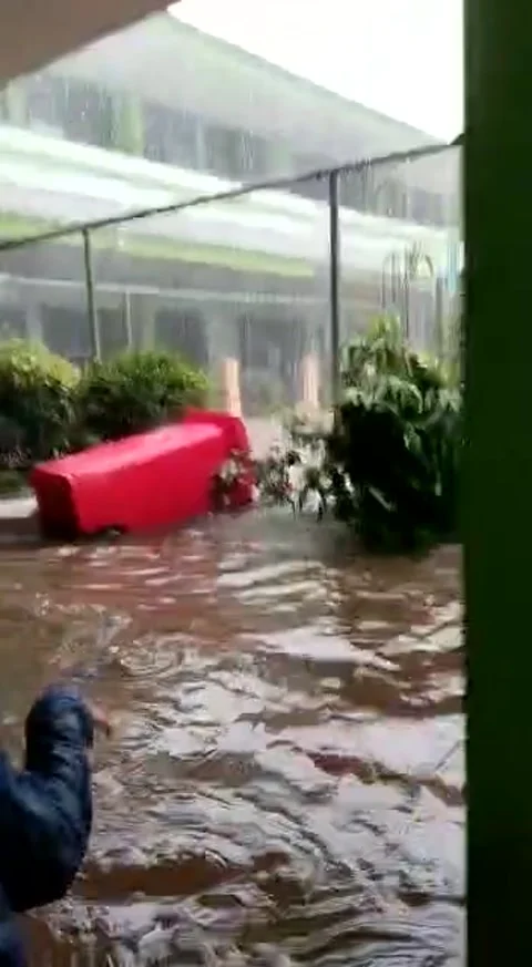 Screaming When The Flood Came 動画素材 218659645