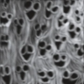 Screaming White Ghost Faces Texture – Haunting Soul Horror Background 스톡 일러스트