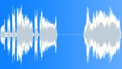 ScreamsHysterical_Girl2x Sound Effect