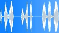 ScreamsHysterical_Girl3x Sound Effect