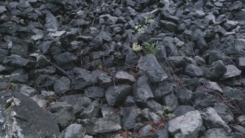 A scree in the mountains in the dolomites Video stock 241890978