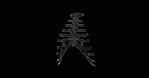 Screen 3d of sternum and ribs structure bone in the human body - loop Stock Footage 109291995