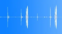 Screen Door Bang Frame Sound Effect