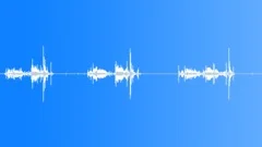 Screen door screachSound Effect