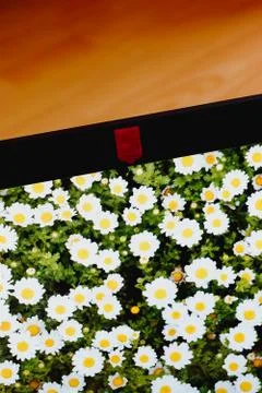 Screen of laptop with covered webcam for security. 스톡 사진