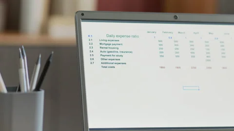 Screen of Laptop with Table of Personal Monthly Expenses Stock Footage 302402785