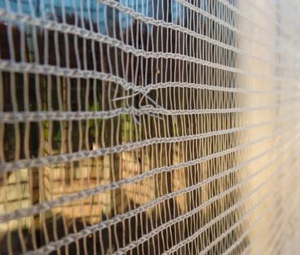 Screen, net or white mesh in the window of a house Stock Photos