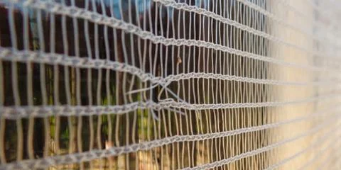 Screen, net or white mesh in the window of a house Foto stock