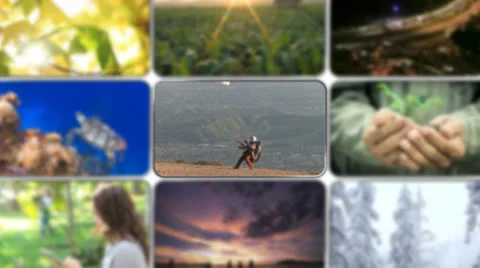 Screen Presentation After Effects stock