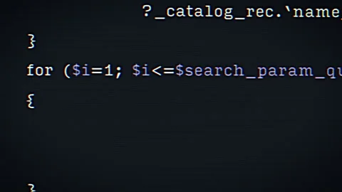 Screen with Programming Language Code Stock Footage 300989623