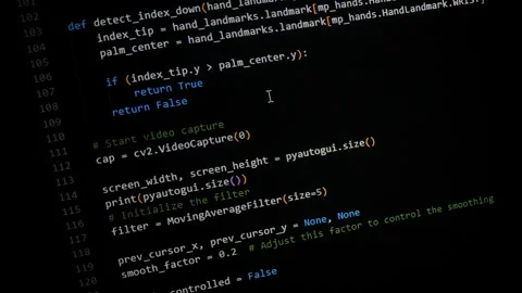 On-screen Python Coding Session | Some programmer activity Stock Footage 291625236