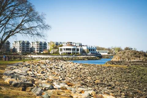 Screen Saver #1 Photos