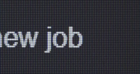 Screen search bar text typing: find new job Stock Footage 258928589