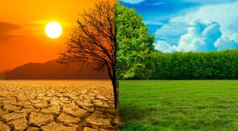 The screen separates the drought and the complete forest where the wildlife i Stock Photos