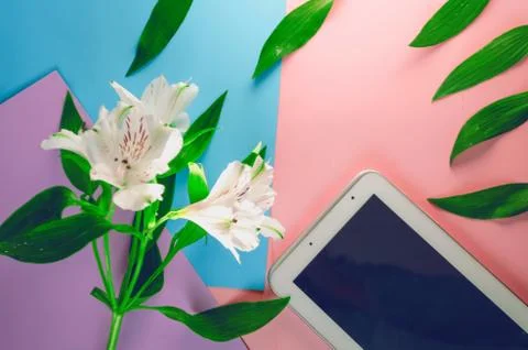 Screen tablet. wireless internet. spring flowers, alstroemerias white Stock Photos