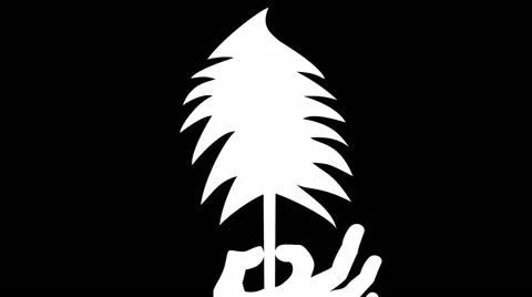  	Screensaver about forest conservation Stock Footage 60645035