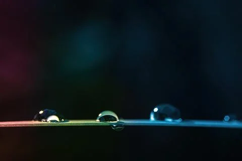 Screensaver difocus colored dew drops with highlights on the leaf. Soft foc.. Stock Photos