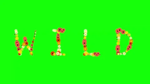 Screenshot Dynamic with Flowers Isolated Green Screen Stock Video Stock Footage 337996871