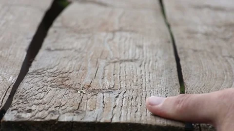 Screw being driven into wood. Screw was tightened by electric drill. Video stock 81462839