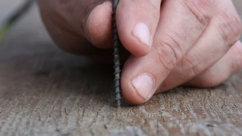 Screw being driven into wood. Screw was tightened by electric drill. Video stock 81463154