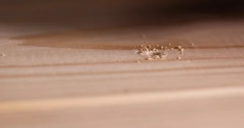 Screw with a drill shape for fixing wooden boards and other wood materials, Stock Footage 314088011