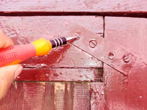 Screw Driver variable bits. Foto stock