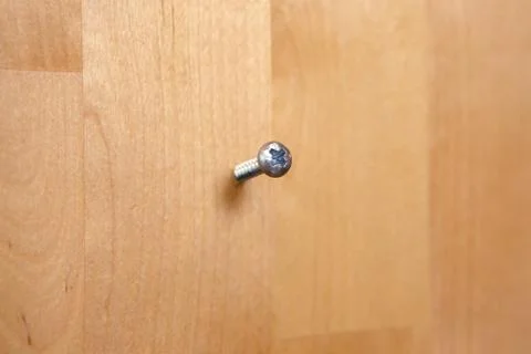 A screw embedded in the surface of wood. Stock Photos