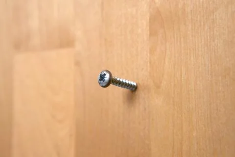 A screw embedded in the surface of wood. Stock Photos