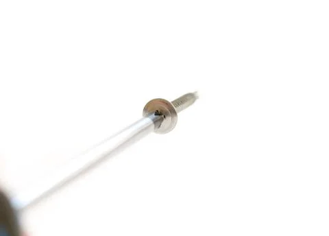 Screw inserted in the screwdriver. Isolated on white background. 스톡 사진