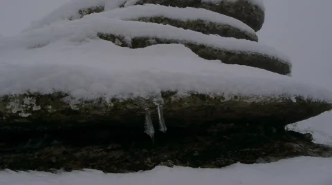 Screw natural monument Stock Footage 46806714